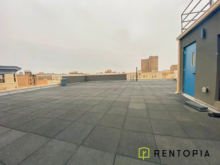 173 Conselyea St #1A — Photo 5