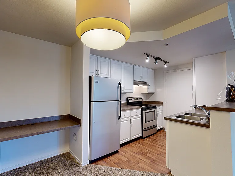 Apartment kitchen with stainless steel appliances and wood-style flooring.