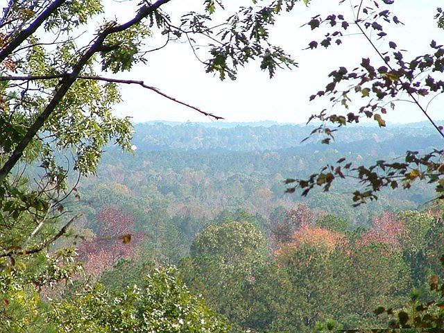 1st image of 146 Tranquil Bluff Ln