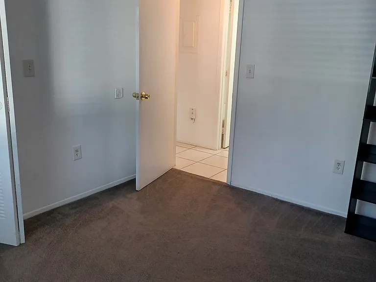 Palmetto Ct — Photo 12
