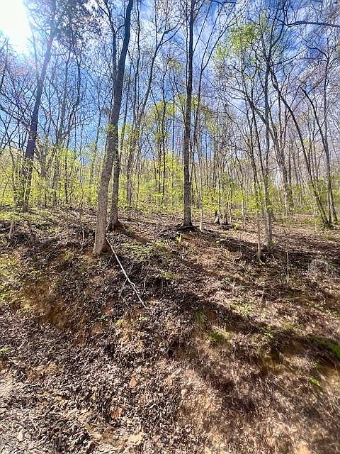 1st image of 00 Gunter Hollow LOT E-2
