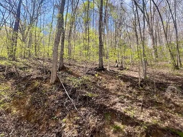 0 Gunter Holw Lot E-2, Robbinsville, NC 28771