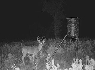 3747 Sparta Field Rd, Waelder, TX 78959