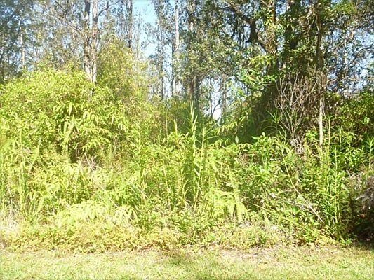 5th image of Plumeria Dr Lot 49