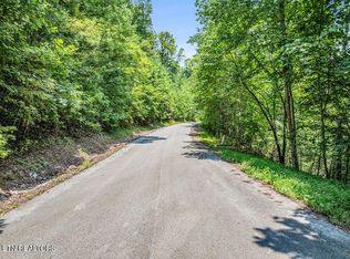 LOT 453 Silver Trl, New Tazewell, TN 37825