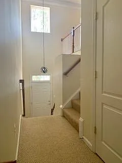 6869 Rolling Creek Way — Photo 18