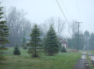 19731 31 Mile Rd, Ray, MI 48096
