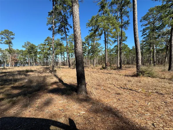 Tbd28 Private Rd Lot 6028-28, Brookeland, TX 75931