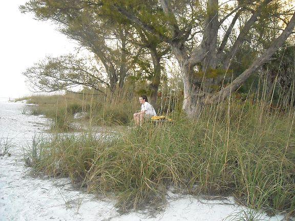 Picnic at the beach