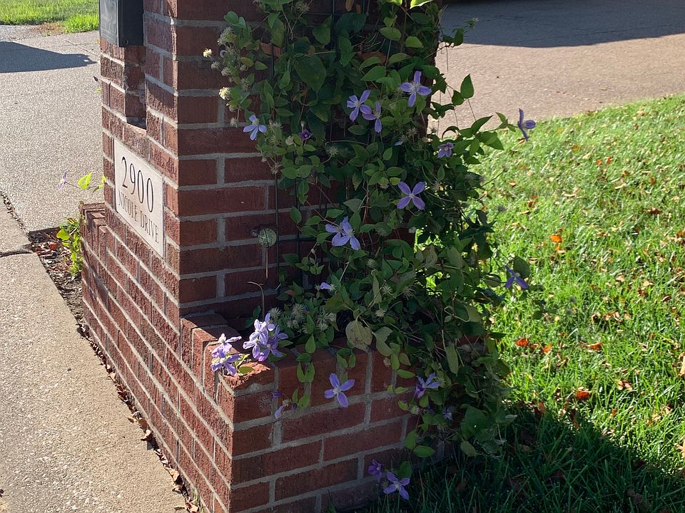 2nd image of 2900 Nicole Dr