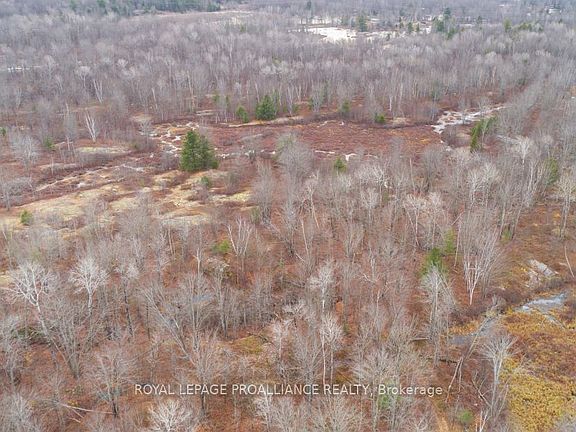 4th image of 1446 Flinton Rd