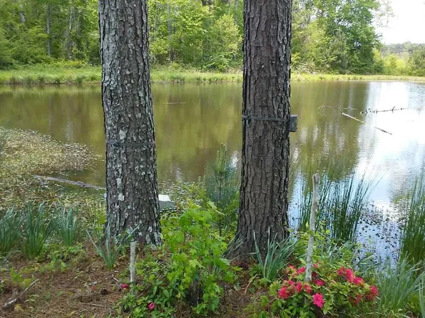 0 County Road 1069, Vinemont, AL 35179