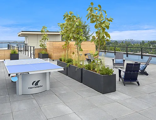 Hamilton- Your Bright, Modern City Home! — Photo 28
