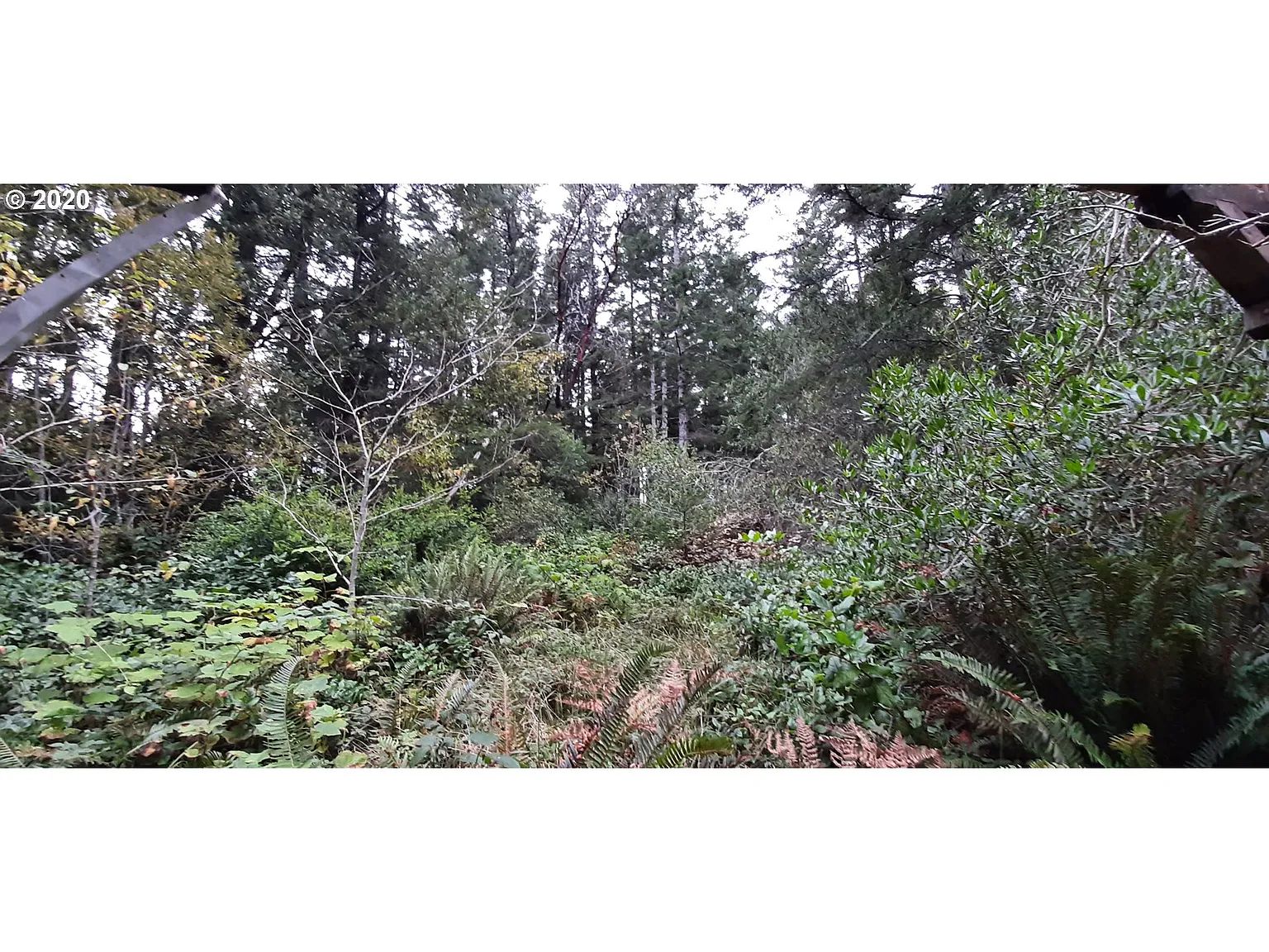 87065 Lower Fourmile Ln photo 1