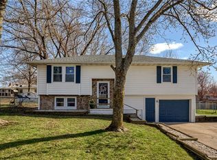 323 Shearer Ave, Lawson, MO 64062