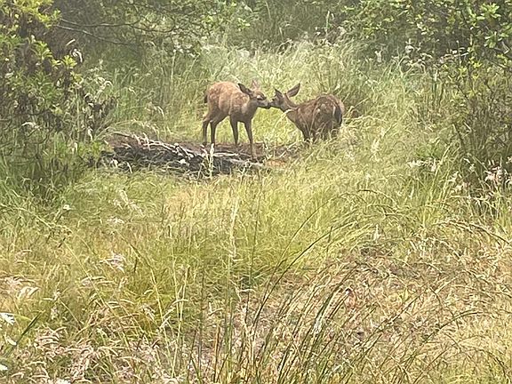 5th image of 24460 Ten Mile Road
