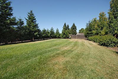 5th image of 3010 La Mantia Dr