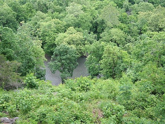 Creek View from deck