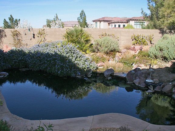 Koi Pond
