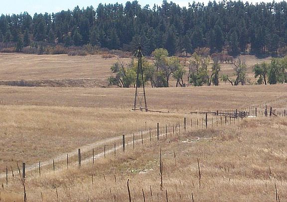 Southwest View / Pine