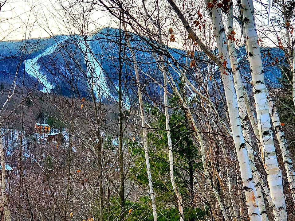 652 Clearbrook Road, Lincoln, NH 03251 Zillow