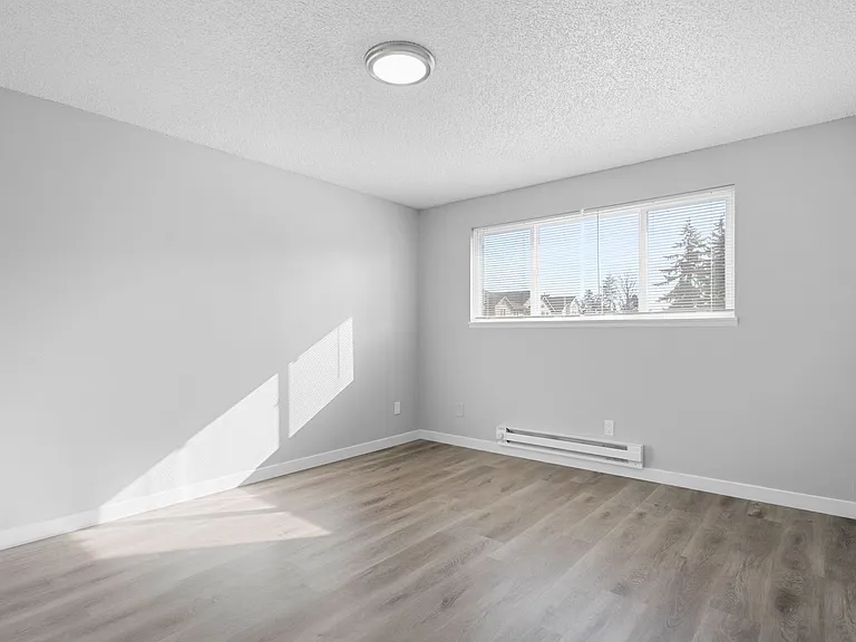 Pine Tree Lane Apartments — Photo 12