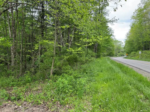 629 E Windsor Rd, Windsor, NY 13865