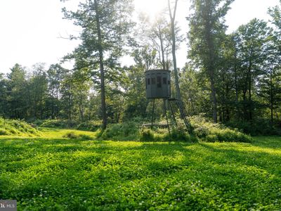 Great Cove Rd, Burnt Cabins, PA, 17215