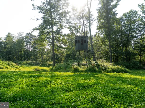 Great Cove Rd, Burnt Cabins, PA 17215