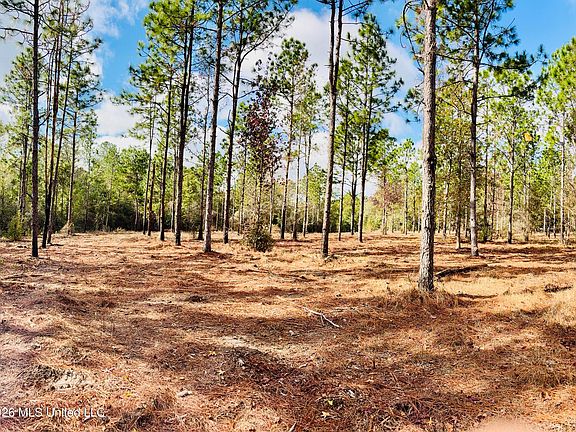2nd image of E Beasley Rd