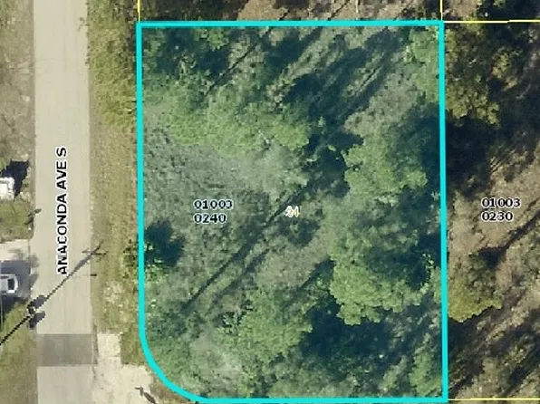 701 Barcia St E, Lehigh Acres, FL 33974