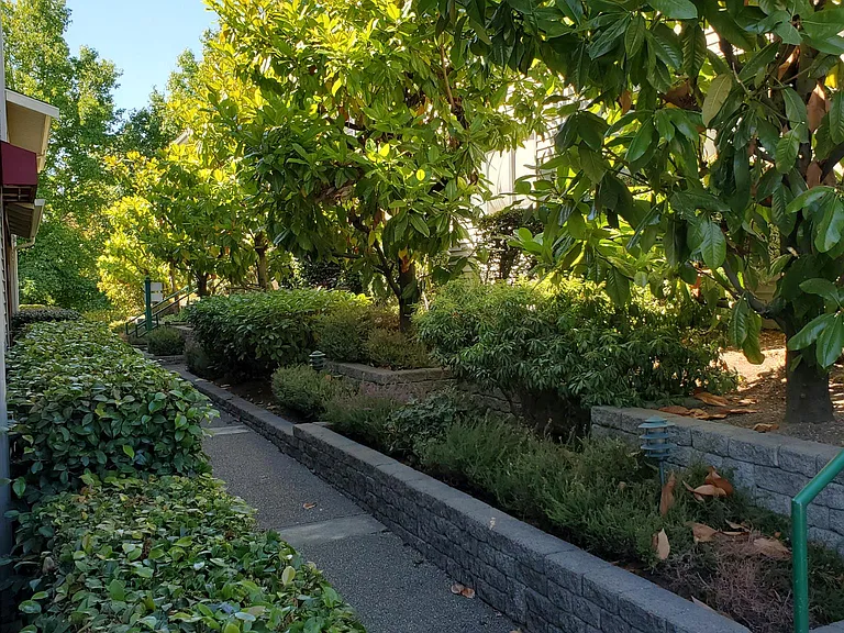 Isherwood Apartments — Photo 11