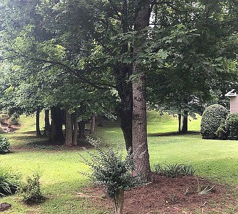 Front Yard