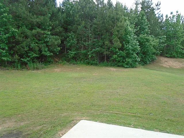 3879 Craggy Perch — Photo 15