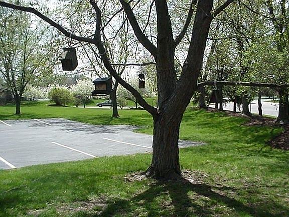3rd image of 769 Hidden Cir
