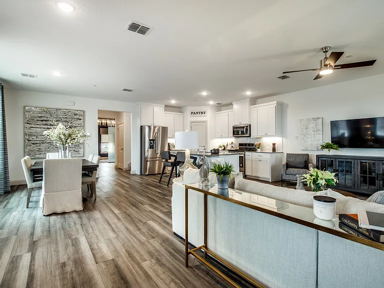 Living Room and Kitchen