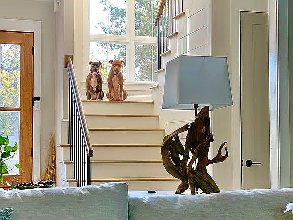 5th image of 26 Rapallo Ct