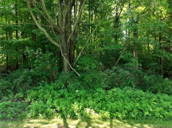 Indianola Dr, Madison, OH 44057