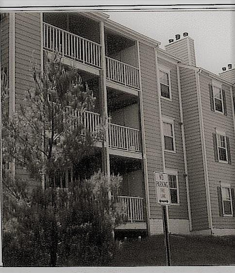 REAR PROPERTY