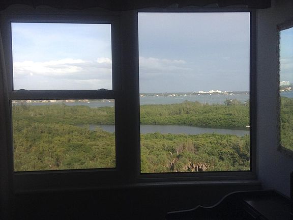 Window view