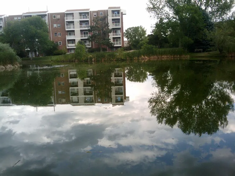 1150 Golden Cir #507 — Photo 8