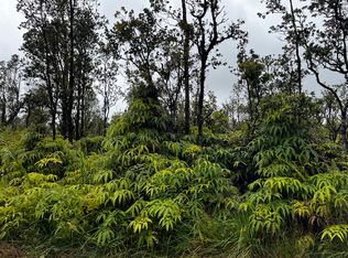 Kaleponi Rd LOT 49, Volcano, HI 96785