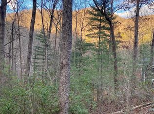 LOT 11 Castlewood Rd, Robbinsville, NC 28771