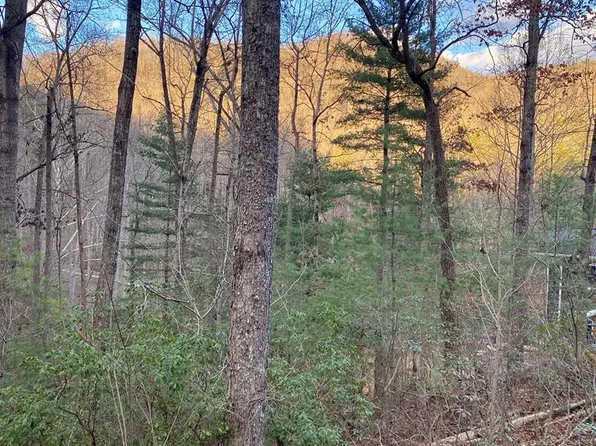 LOT 11 Castlewood Rd, Robbinsville, NC 28771