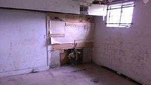 3rd image of 1731 Louis Ave