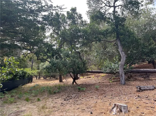 1280 Warren Rd #21, Cambria, CA 93428