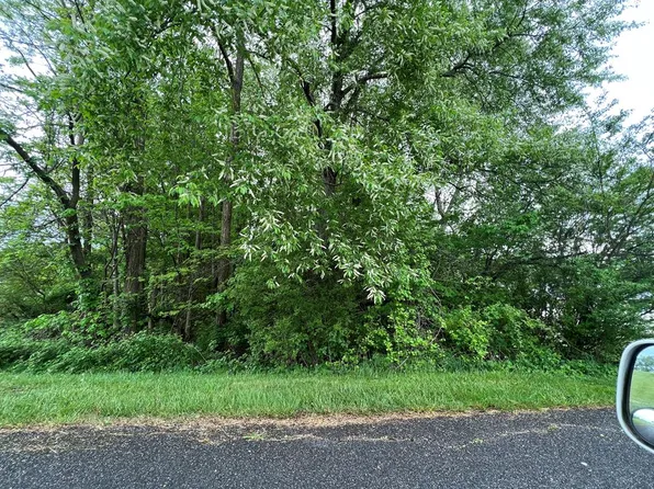 Tbd Ryan Rd, Meadowview, VA 24361
