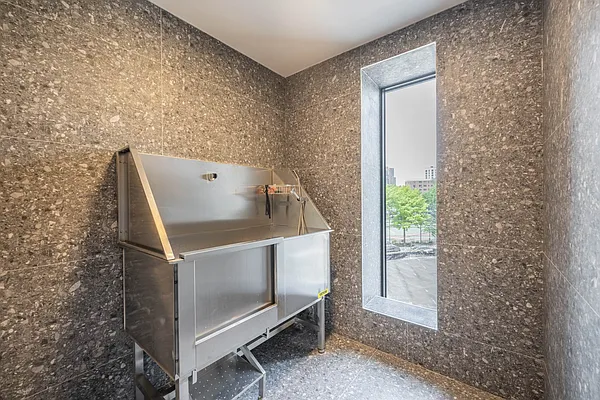 Rented by Nest Seekers International | media 9