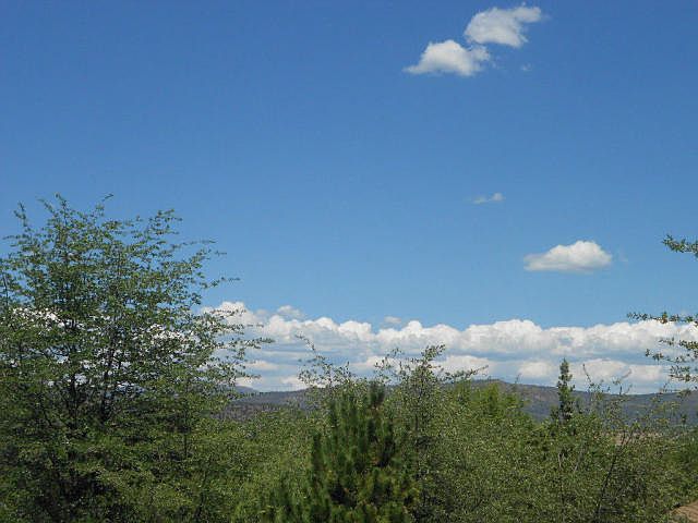 2nd image of 917 N Scenic Dr