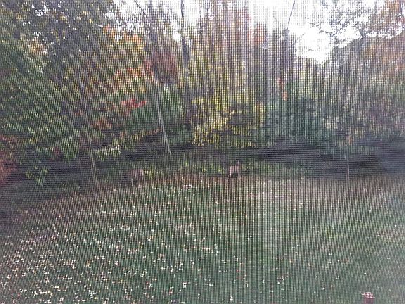 5th image of 5438 Village Station Cir